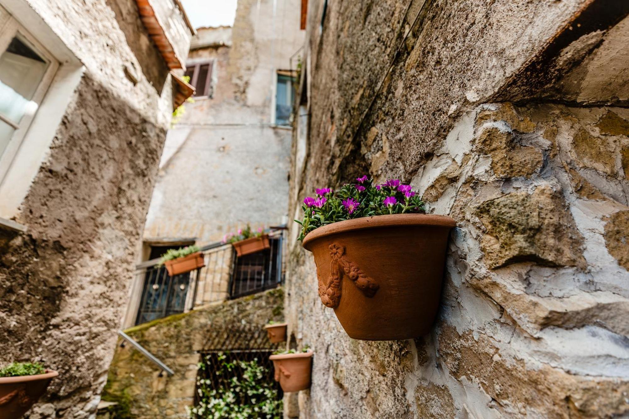 Castello Brancaccio 호텔 San Gregorio da Sassola 외부 사진